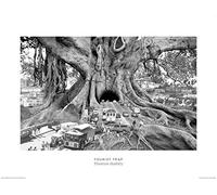 Pyramid International - Póster de Thomas Barbey (Tourist Trap) - Lámina Decorativa (60 x 80 cm, Papel, Multicolor, 60 x 80 x 1,3 cm