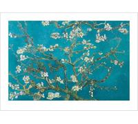 Pyramid International - Póster (Van Gogh Almendro en Flor San Ramy 1890) - Lámina Decorativa (50 x 70 cm, Papel, Multicolor, 50 x 70 x 1,3 cm)