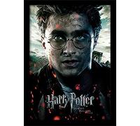 Pyramid International Potter (Reliquias de la Muerte Parte 2-Harry) impresión en