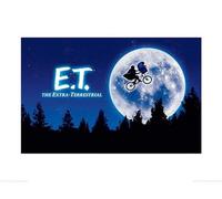 Pyramid International Quad et Art Print, Papel, Multicolor, 60 x 80 x 1,3 cm