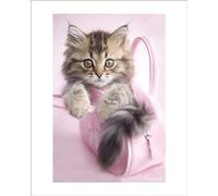 Pyramid International Rachael Hale (Minnie) - Lámina Decorativa (40 x 50 cm, Papel, Multicolor, 40 x 50 x 1,3 cm)