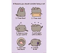 Pyramid International Reasons to be a Cat Pusheen Maxi Póster, Plástico/Vidrio, Multicolor, 61 x 91,5 x 1,3 cm, Salón