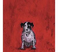 Pyramid International Sam Toft - Lienzo decorativo (40 x 40 cm), diseño de perro pequeño