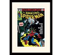 Pyramid International Spiderman (Gato Negro) 30 x 40 cm montado y Enmarcado, 40L x 30W cm