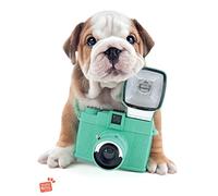 Pyramid International Star-Lienzo Decorativo (60 x 80 cm), Multicolor, 31.5 x 24 Inches