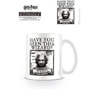Harry Potter Taza De Café PYRAMID INTERNATIONAL