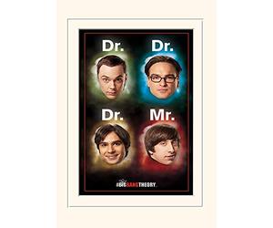 Pyramid International The Big Bang Theory (Dr Mr) - Impresión Decorativa (30 x 40 x 1,3 cm), diseño de Texto en inglés The Big Bang Theory (Dr Mr)