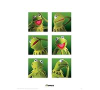 Pyramid International The Muppets (Kermit Boxes) - Lámina Decorativa (30 x 40 cm, Papel, Multicolor, 30 x 40 x 1,3 cm