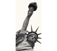 Pyramid International WDC44177 Statue of Liberty - Lienzo Decorativo