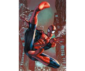 Pyramid International Web Slinger Maxi Póster, madera, multicolor, 91,5 x 61 x 0,02 cm