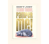 Pyramid Internationala Vida Secreta de Mascotas (Pamper Me) - de el Hobbit Memorabilia 30 x 40 cm, Papel, Multicolor, 30 x 40 x 1,3 cm