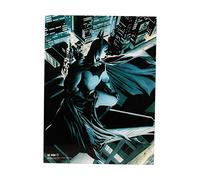 pyramid intl Poster Cristal Batman Watcher Glass Poster 30X40 DC Universe Official Merchandising
