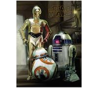 Pyramid Lienzo Star Wars Droids 30x40cm