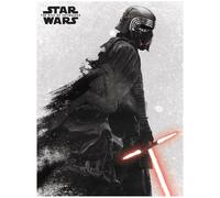 Pyramid Lienzo Star Wars Episodio 9 30x40cm