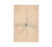 Pyramida Neuron Dibujo de Santiago Ramón Y Cajal 1904 Lienzo artístico y arte de pared, impresión moderna para dormitorio familiar, sin marco, 30 x 45 cm