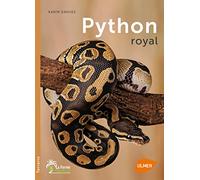 Python royal