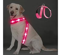 PZRLit Arnés de chaleco iluminado para perro, recargable por USB, acolchado suave, ajustable y luz reflectante para perros por la noche, arnés LED para perro, para camping, seguridad, caminar en la