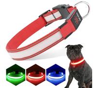 PZRLit Collar de perro con luz recargable, completamente ajustable LED para perro, impermeable, collares de perro oscuros para caminar nocturno para perros medianos y grandes, rosa mediano