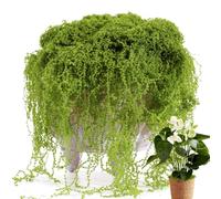 Pzuryhg Faux Moss Decor - 300g Craft Moss for Garden DIY Projects, Terrarium Planter Vase Decorations with Soft Natural Feel, Ideal for Wedding Holiday Christmas Indoor Outdoor Display
