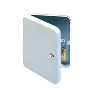 Q - Connect - Armario para llaves (capacidad 20 llaves), color gris 20 Keys
