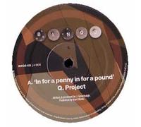 Q Project - In for a Penny in for a Pound [Vinilo]