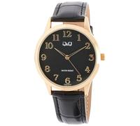 Q&Q Analógico Modelo Analogové hodinky C10A-021PY. Marca