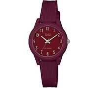 Q&Q Reloj Informal VS13J007Y