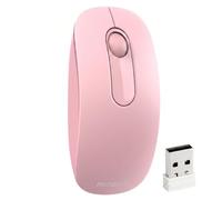 qaf Ratón inalámbrico de 2,4 GHz de bajo ruido, delgado y compacto USB con nano receptor, 1600 DPI, 1 pila AA, ratón portátil para ordenador portátil, PC, ordenador portátil y Mac con USB-A