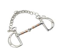 QANYEGN Broca de Filete de Anillos en D de Acero Inoxidable, Broca de Boca de Caballo, Broca de Caballo de Filete de Junta única con Anillos en D con Cadena para Boca de Caballo de