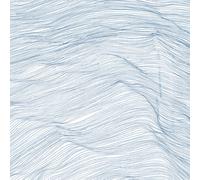 Qasim Naqvi, Wadada Leo Smith & Andrew C Two Centuries (Vinyl) (Importación USA)