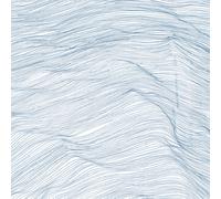 Qasim Naqvi, Wadada Leo Smith & Andrew C Two Centuries (Vinyl) (Importación USA)