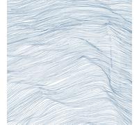 Qasim Naqvi, Wadada Leo Smith & Andrew Cyrille Two Centuries (CD) Album