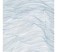 Qasim Naqvi / Wadada Leo Smith / Andrew Cyrille - Two Centuries (Vinyle LP) / Qasim Naqvi - Wadada Leo Smith - Andrew Cyrille [Vinilo]