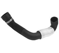 QASULER 11537581576 Tubería de agua Conexión Bomba Radiador Manguera Tanque, for, F01 740i F02 740Li Tubo de transferencia de calor del radiador