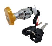 QASULER Interruptor de encendido, for cargador de batería de scooter y bicicleta eléctrica, for MINI, cerradura con 2 llaves, cerradura de puerta eléctrica for motocicleta, interruptor de encendido, e