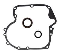 QAZAKY Junta del cárter Juego de anillos combinados de sello de aceite para Briggs & Stratton 793880 Árbol de levas 697110 795387 Cortadora de césped Carb