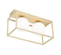 Qazqa Diseño Plafón diseño dorado 2-luces blancas - ANIEK Acero/Vidrio Rectangular Adecuado para LED Max. 2 x 40 Watt