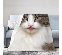 QAZWZML Manta de cama con estampado de gato, manta de franela para decoración del hogar, 4 tamaños, 60 x 50 pulgadas