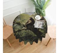 QAZWZML Manta redonda de picnic con estampado de mono sentado en un árbol, mantel decorativo redondo de 152 cm, adecuado para cafeterías y fiestas