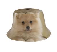 QAZWZML Sombrero de pescador para vacaciones al aire libre, lindo perro pomeraniano impreso, sombrero de sol para adultos, adecuado para senderismo, playa, ciclismo, color negro