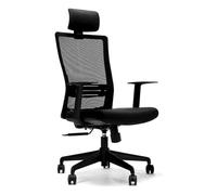 QAZXDRFG Boss Chair Office Chair Ergonomic Computer Mesh Recliner Adjustable High Back Swivel Office Desk Chair with Lumbar Support Black Interesting to Pursue Happiness