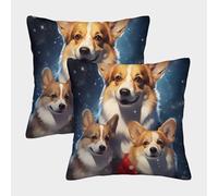 QBIREX Funda de Almohada navideña Familiar Corgi, Cuadrada, para sofá, Coche, decoración de Interiores, 50 x 50 cm