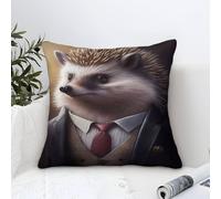 QBIREX Juego de 2 Fundas de Almohada cuadradas con diseño de Erizo para Sala de Estar, 45 x 45 cm