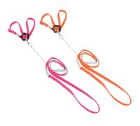 QBLEEV Paquete de 2 arnés de nailon ajustable para loros, correa de entrenamiento al aire libre antimordeduras para pájaros amores, palomas, grises africanos, cacatúas, guacamayos, periquitos,