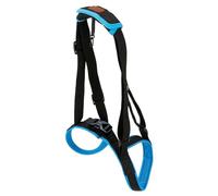 Qcbuegof Las correas de recuperación mejoran la estabilidad del soporte de las piernas elástico suave para escalar escaleras y actividades al aire libre perro senior