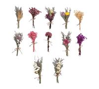 Qcwwy Bouquet de Flores Secas Pequeñas, 12 Pcs Hermosos y Vibrantes Ramos de Flores Secas Flores y Plantas Hechas a Mano Adecuadas para la Mesa de Comedor de Bodas Decoración