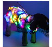 Qcwwy Disfraz de Brillante LED con Cuello Redondo, Borde de Cintura, Hebilla, Ajuste Libre para Gatos Grandes, Medianos y Pequeños, Seguridad Nocturna (S)