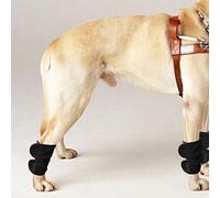 Qcwwy Productos para Perros para el Cuidado de Las Articulaciones de la Cadera, 2 Piezas con Gancho Ajustable para Recuperación Posquirúrgica, Alivio del Dolor en Las Articulaciones, Prevención de