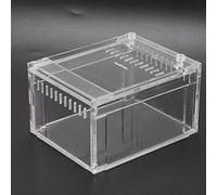 Qcwwy Terrario Acrílico para Reptiles, Caja de Cría Transparente para Serpientes Tortugas Insectos, con Diseño Anti Escape y Cubierta Inferior, Portátil Fácil de Transportar