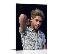 QDFFQD Niall HoranArt - Pintura decorativa a prueba de humedad y resistente a la decoloración, regalo creativo sin enmarcar y fácil de pegar, varios tamaños para elegir